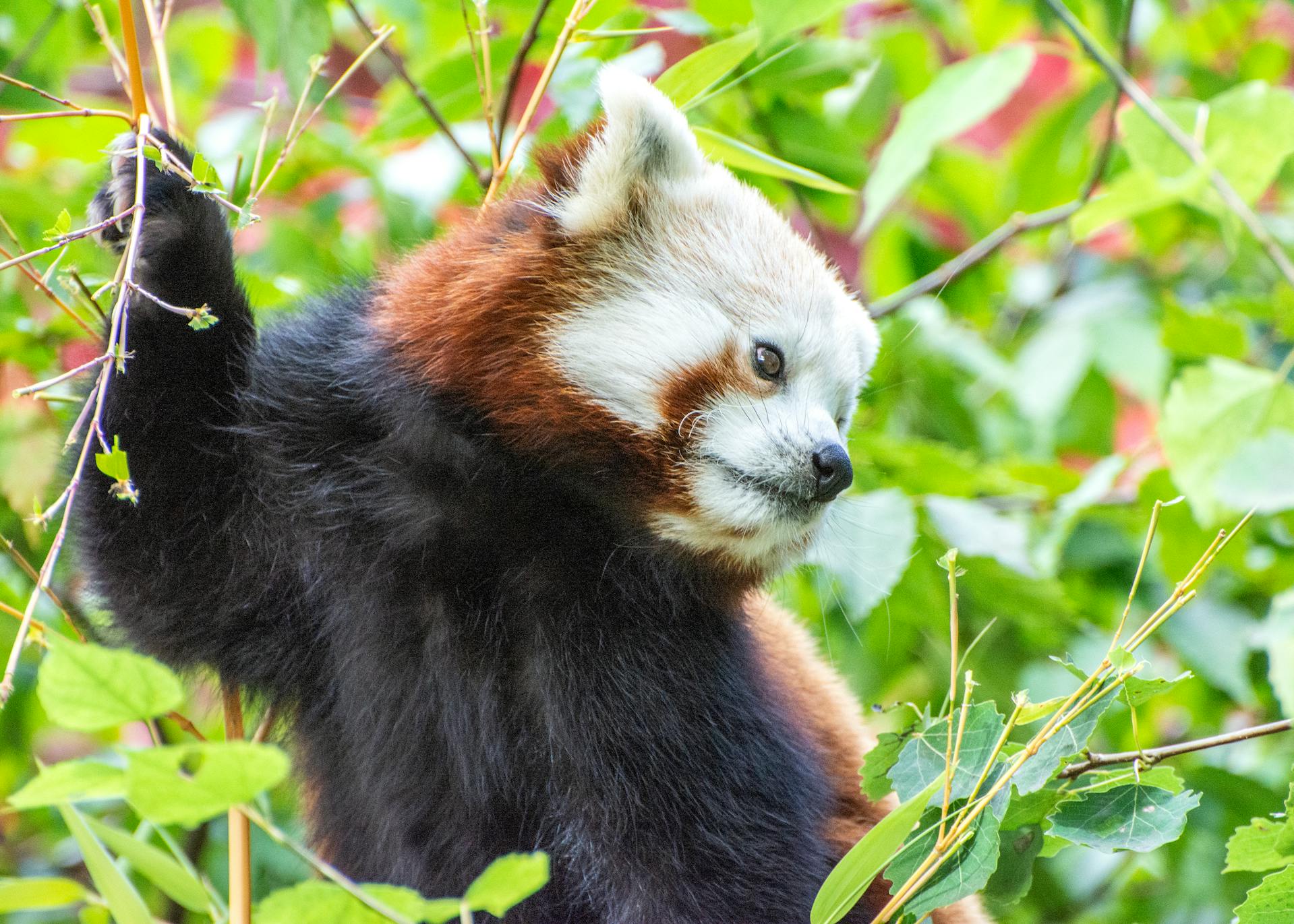 paro popular destination in bhutan