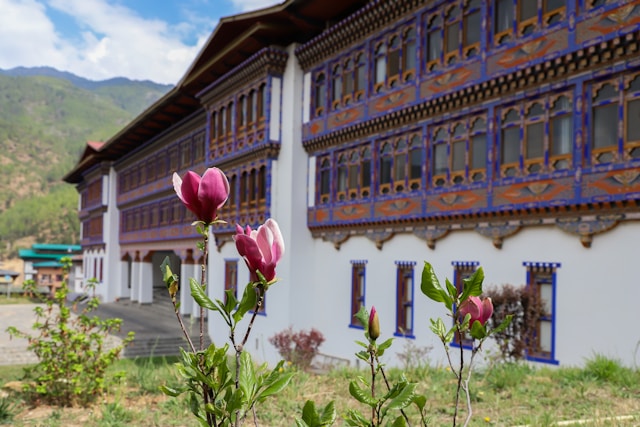 Bhutan Tour Packages Explained: Choosing the Perfect Bhutan Itinerary