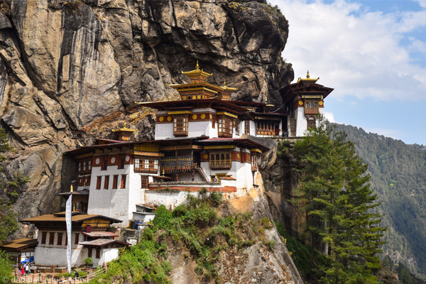 hotel,resort and homestay in bhutan