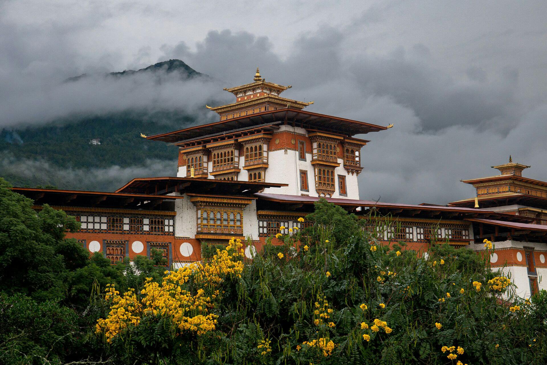 hotel,resort and homestay in bhutan